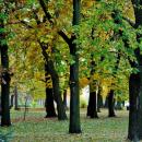 PL-PK Mielec, Park Oborskich 2013-10-13--16-09-24-002