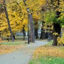 PL-PK Mielec, Park Oborskich 2013-10-13--16-16-31-001