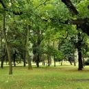 PL - Mielec - park Oborskich - Kroton 021