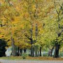 PL-PK Mielec, Park Oborskich 2013-10-13--16-32-53-001